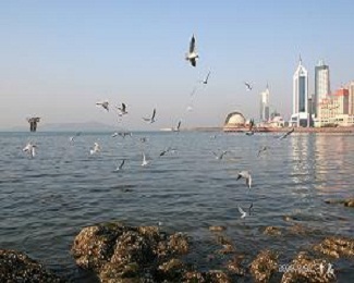 Qingdao tours and China tours pictures
